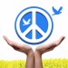 0-peace-contest.jpg